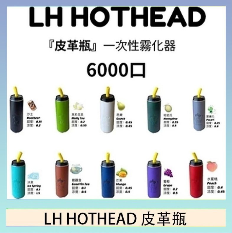 LH HOTHEAD皮革 LH HOTHEAD皮革瓶電子煙可充電6000口一次性