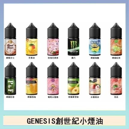 GENESIS創世紀電子煙小煙主機煙油30ml