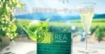 TEREA SHINE PEARL青提爆珠IQOS煙彈：圖片 3